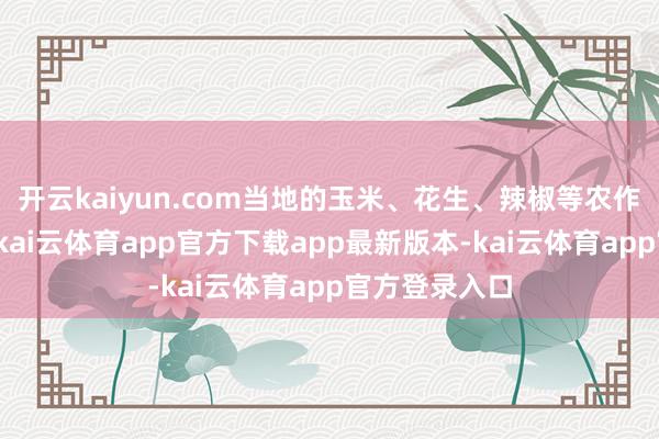 开云kaiyun.com当地的玉米、花生、辣椒等农作物接踵熟悉-kai云体育app官方下载app最新版本-kai云体育app官方登录入口